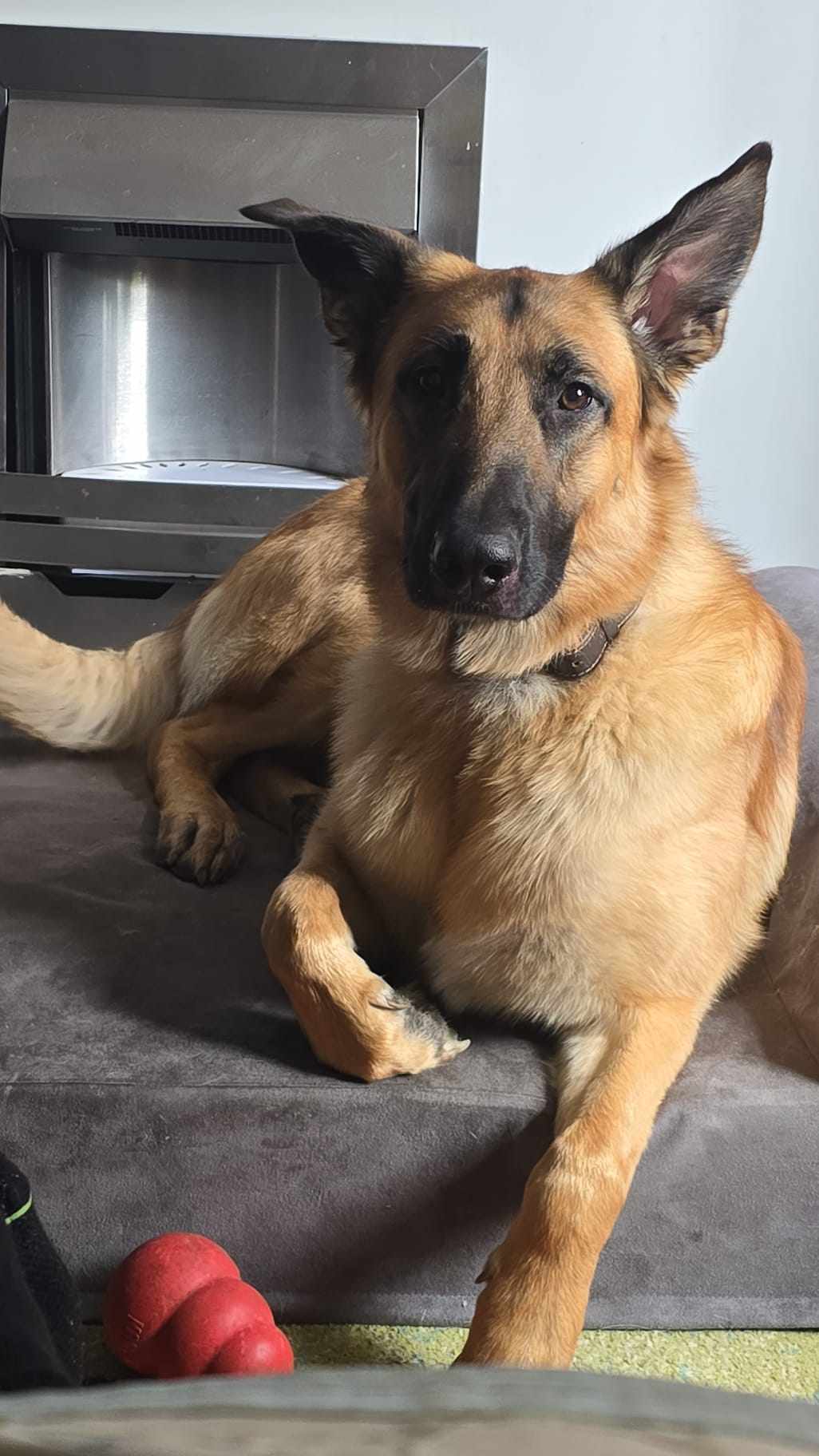 Billy-Lincoln Billy-Lincoln